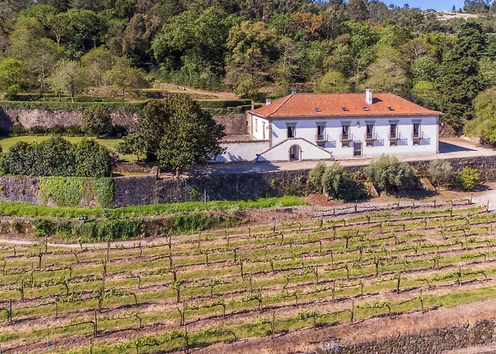 Casa De Vilela - Casa Senhorial Exclusiva Perto Do Porto Ate 15 Pessoas Kır Evi